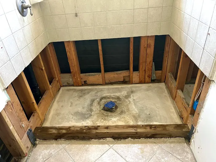 Green Planet Restoration San Diego Picture 3