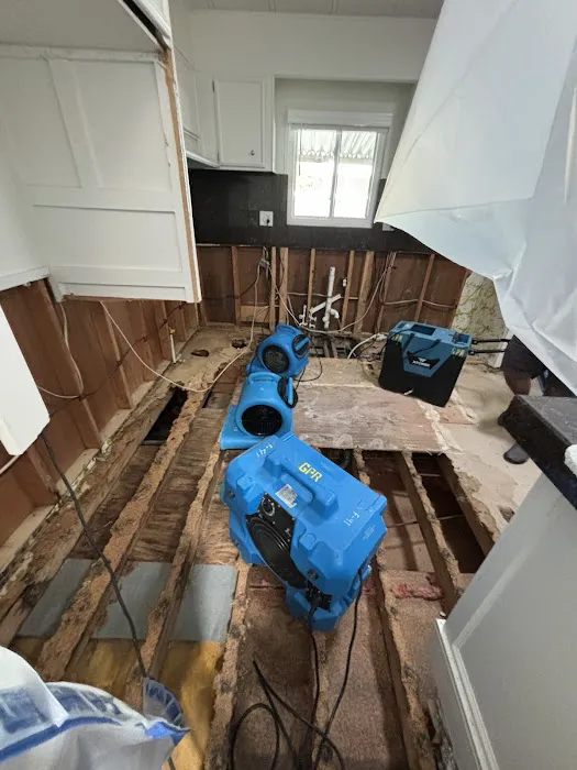 Green Planet Restoration San Diego Picture 9