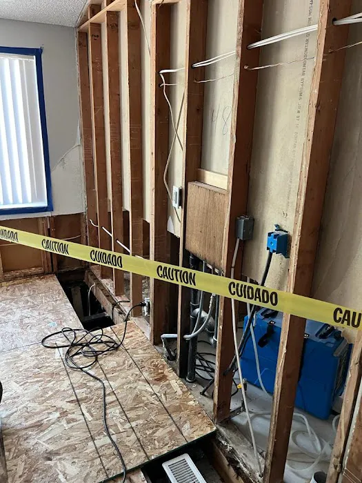 Green Planet Restoration San Diego Picture 10