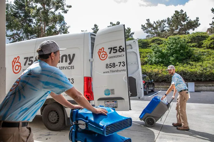 75 and Sunny Remediation Picture 6