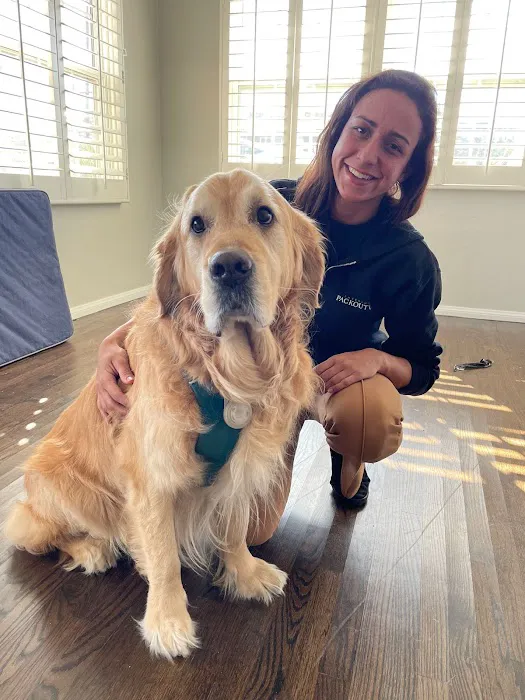 Emergency Packout Co - San Diego Picture 1