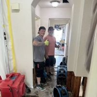 Tamarack Restoration ico