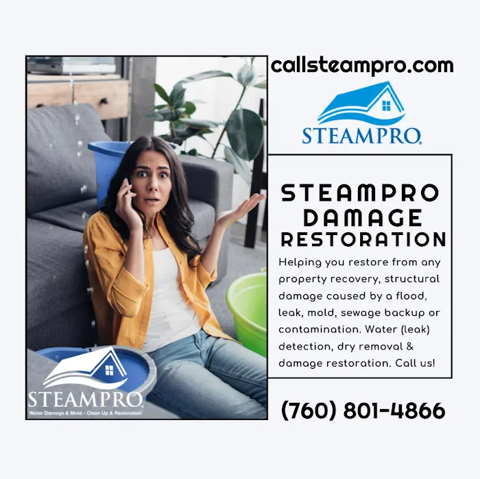 Steampro Clean Up & Drying Services Picture 8