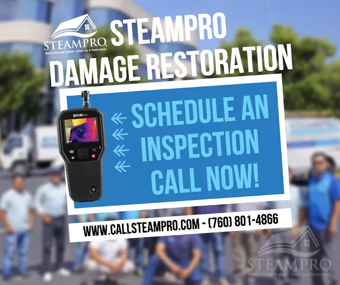 Steampro Clean Up & Drying Services Picture 9