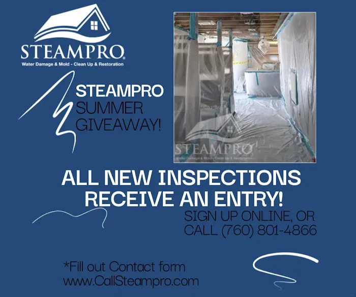 Steampro Clean Up & Drying Services Picture 6