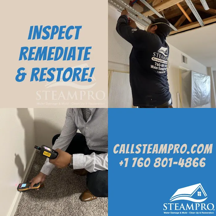 Steampro Clean Up & Drying Services Picture 3