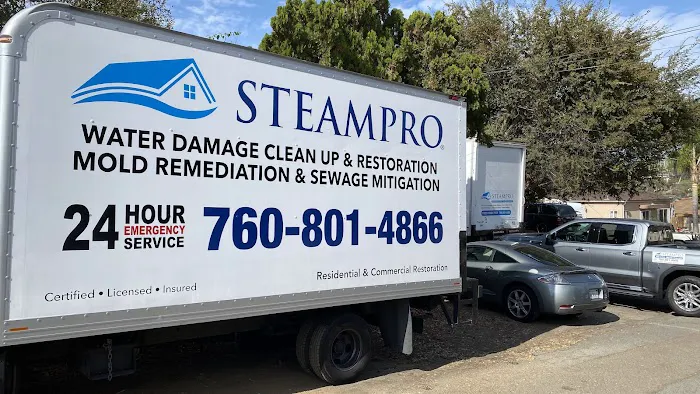 Steampro Clean Up & Drying Services Picture 2