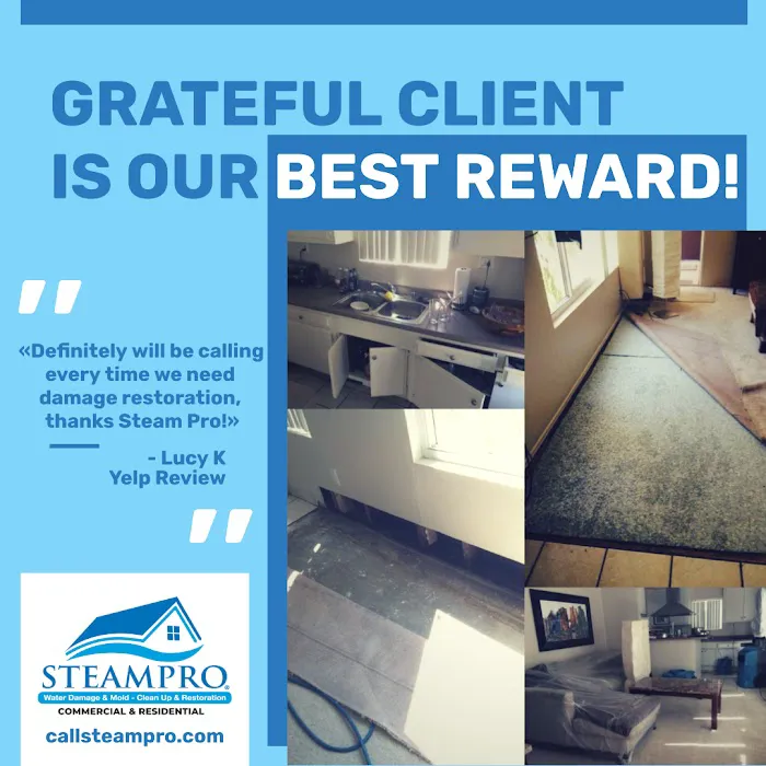 Steampro Clean Up & Drying Services Picture 7