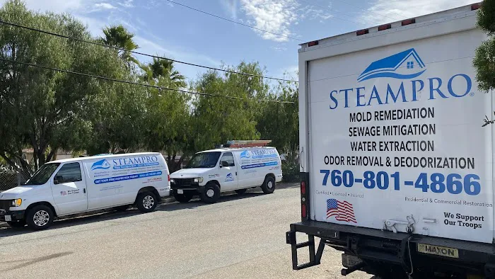 Steampro Clean Up & Drying Services Picture 1