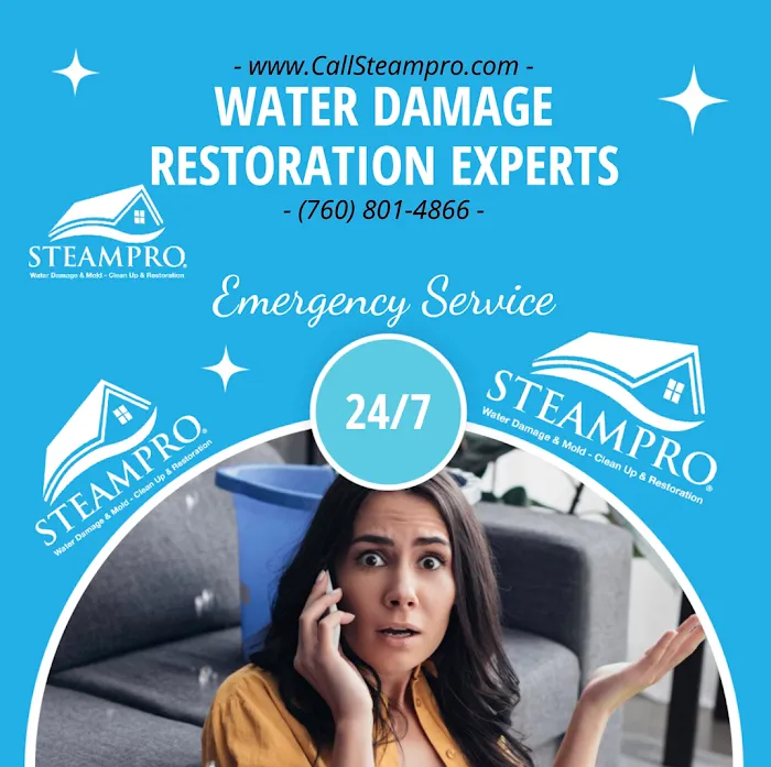 Steampro Clean Up & Drying Services Picture 10