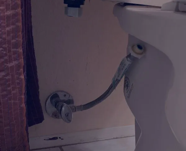 Central Flood Management Picture 2