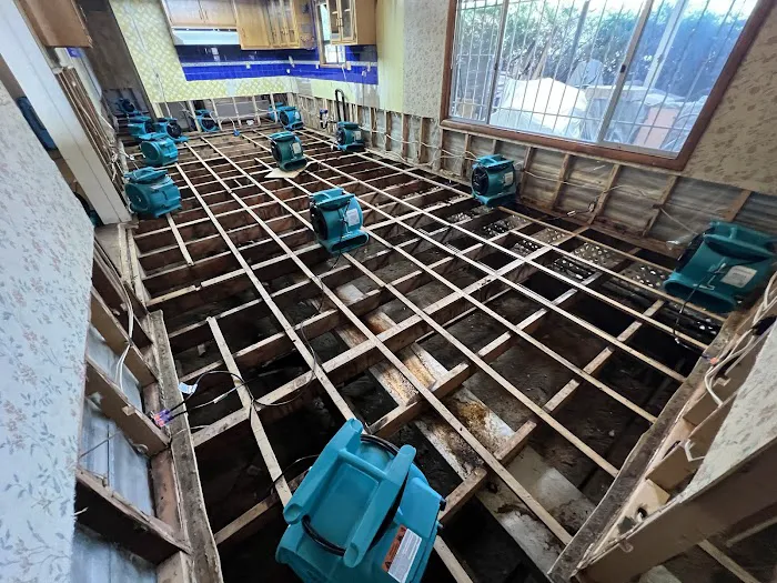 ServiceMaster Restoration by Spotless Picture 1