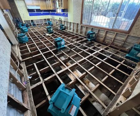 ServiceMaster Restoration by Spotless