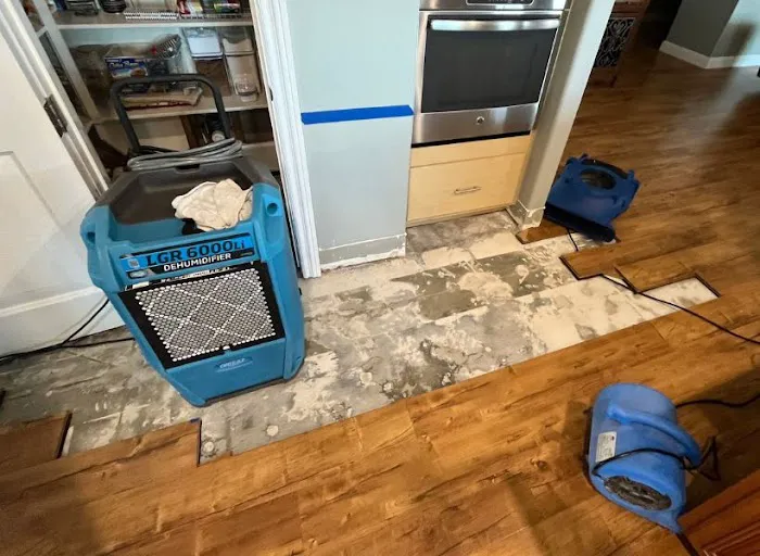 1M Restoration & Repair Picture 8