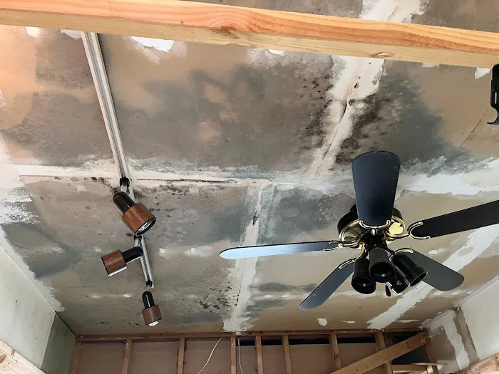 1M Restoration & Repair Picture 4