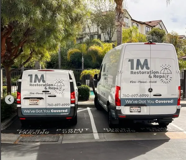 1M Restoration & Repair Picture 3