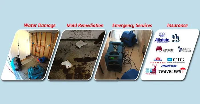 Flood Solutions Inc Picture 5