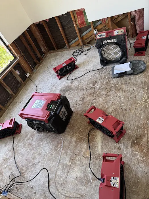 Revive Restoration Picture 10