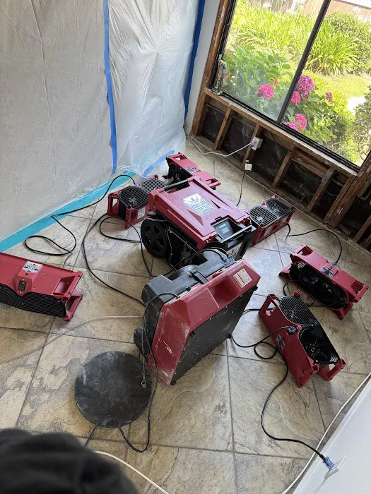 Revive Restoration Picture 2