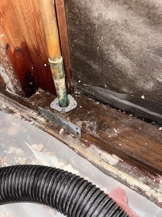 Revive Restoration Picture 7