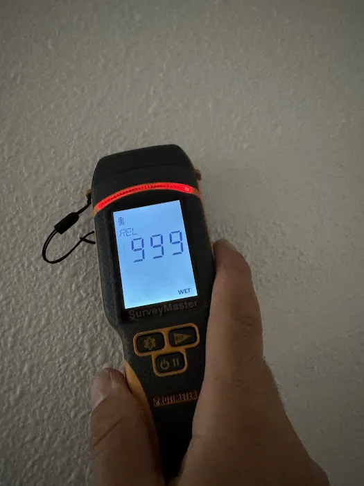 Revive Restoration Picture 8