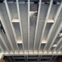 Revive Restoration ico