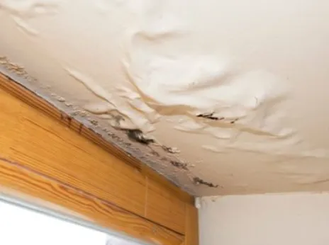 Restoration Connection Picture 4