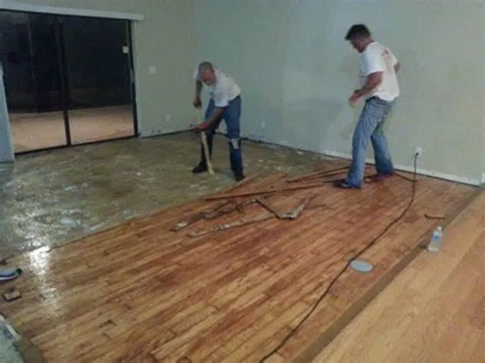 San Diego Water Damage Picture 2