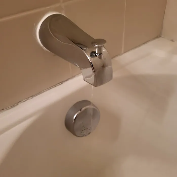 1st Response Plumber, Water Damage Restoration, Leak Detection of San Diego Picture 8