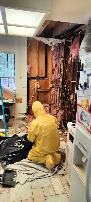 DryHome Fire & Water Damage Services Picture 5