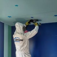 DryHome Fire & Water Damage Services ico