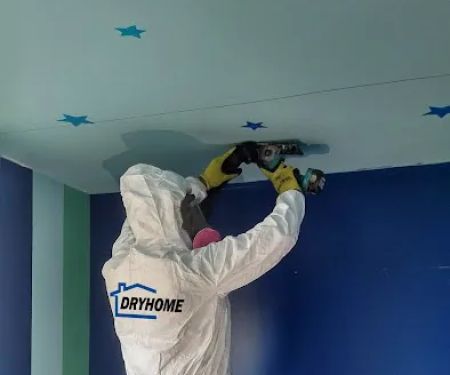 DryHome Fire & Water Damage Services