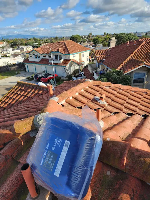 Proper Dry Picture 10