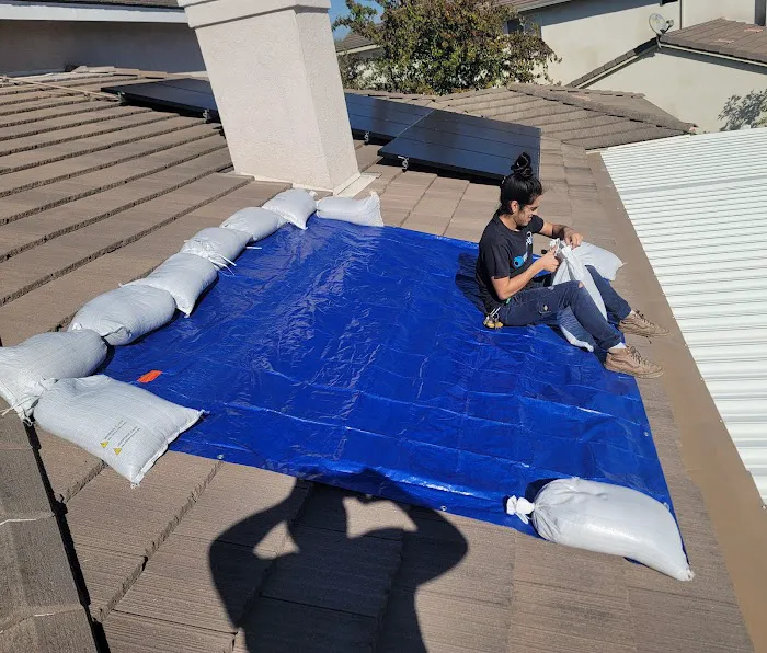 Proper Dry Picture 8