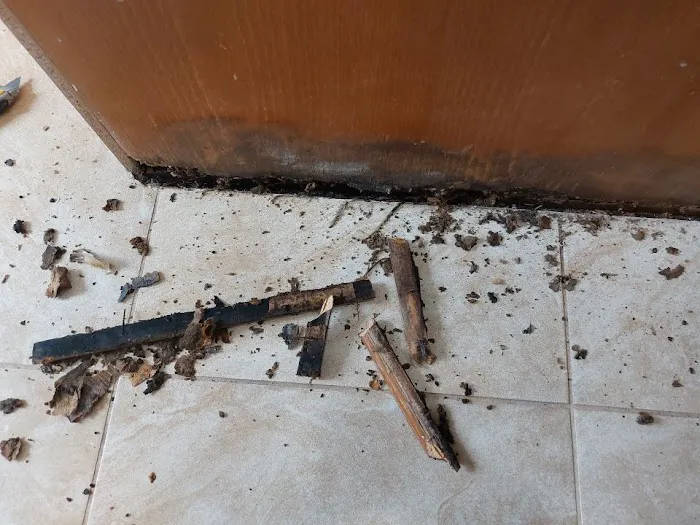 Fast Affordable Restoration Picture 3