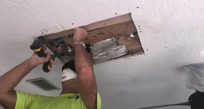 Urgent Mold Removal San Diego Picture 2