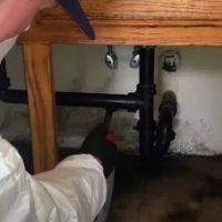 Urgent Mold Removal San Diego ico