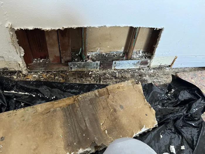 Risk Free Serv Water Damage Repair Carlsbad Picture 2