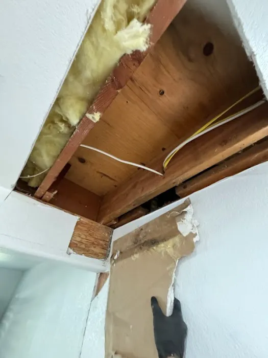 Mold Safe Solutions Picture 3