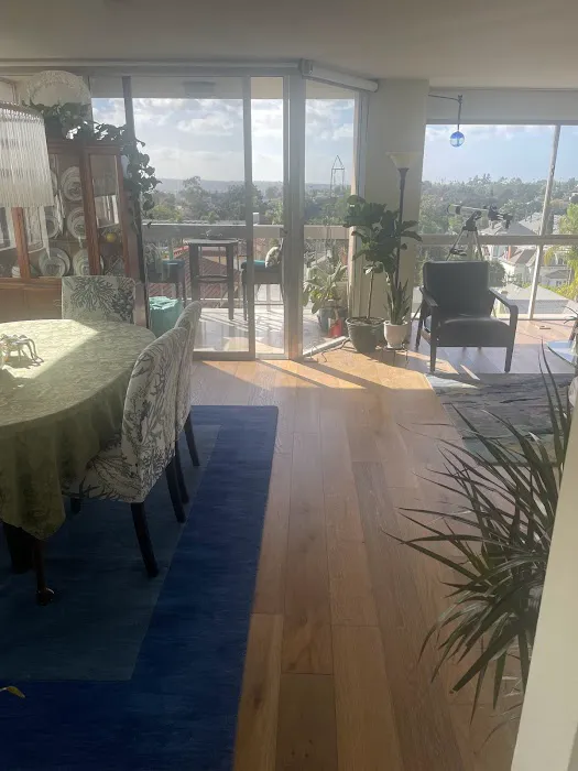 Mold Safe Solutions Picture 8