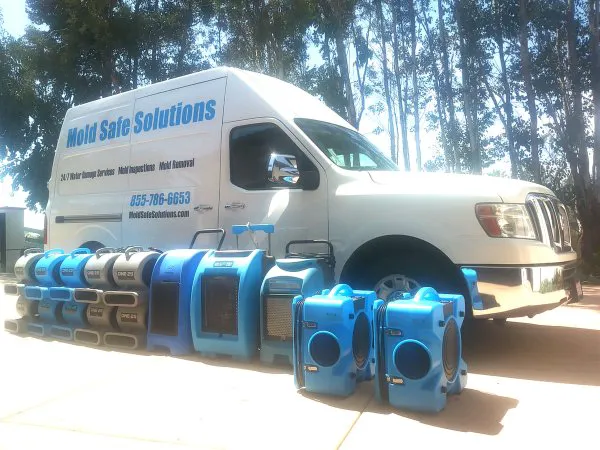 Mold Safe Solutions Picture 9