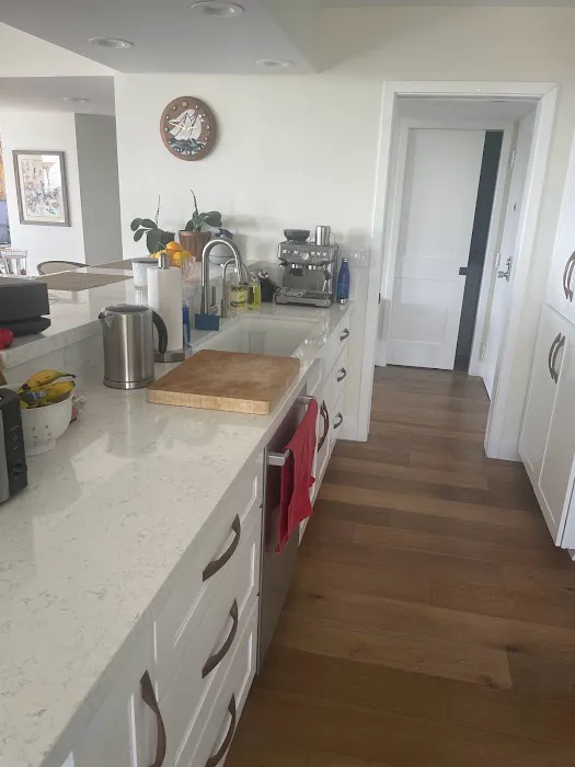 Mold Safe Solutions Picture 4