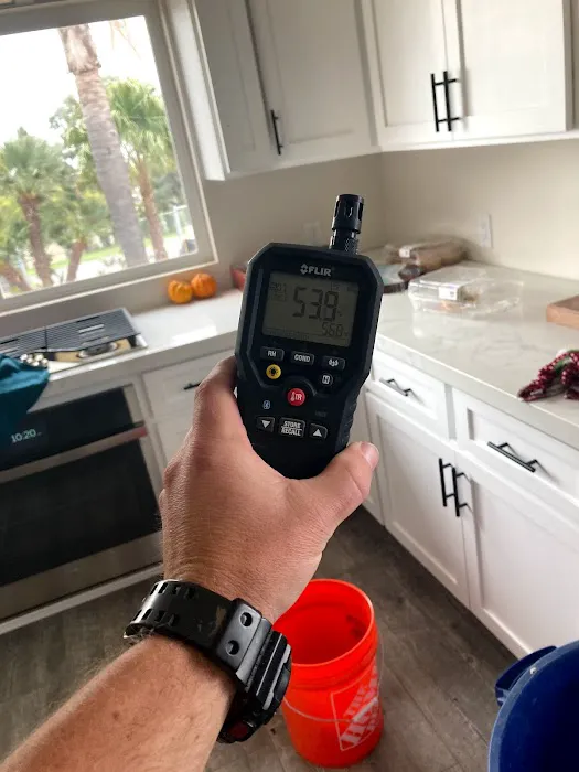 Birchall Restoration Picture 8