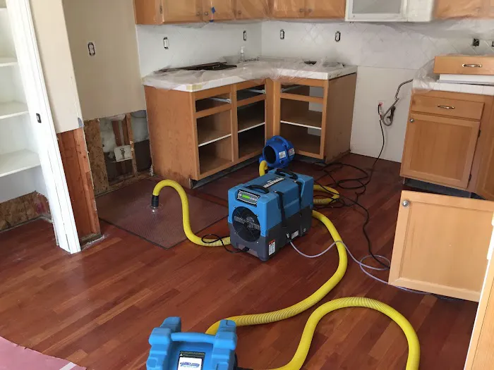 Birchall Restoration Picture 5