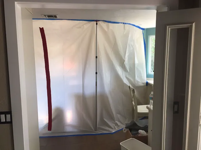 Birchall Restoration Picture 3