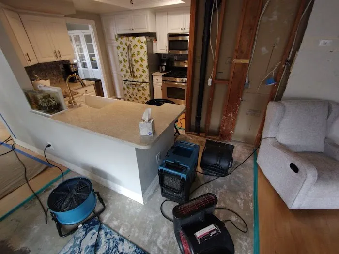 Rainbow International of Chula Vista Picture 6