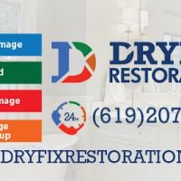 DryFix Inc ico