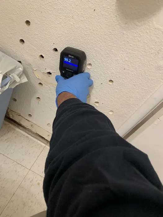 San Diego Water Restoration Picture 8