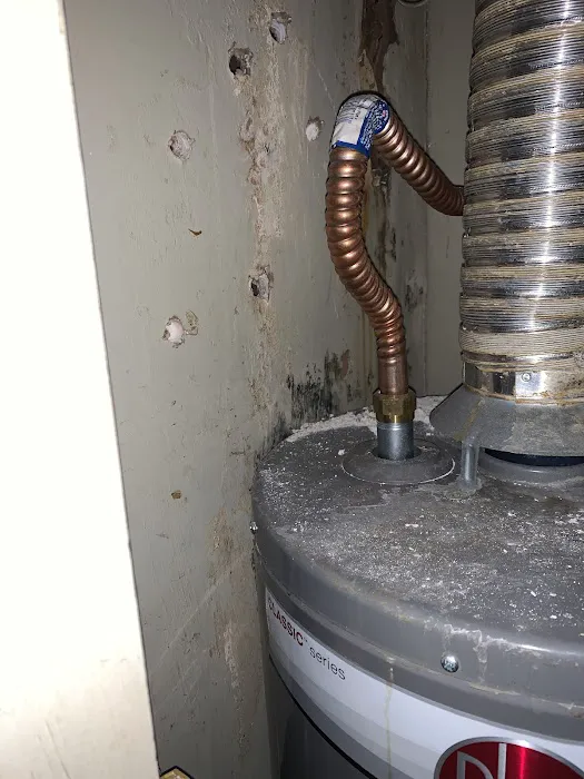 San Diego Water Restoration Picture 9