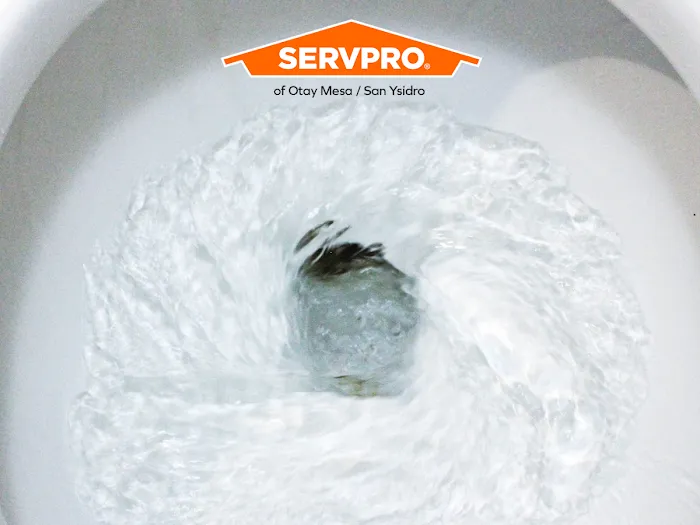 SERVPRO of Otay Mesa/San Ysidro Picture 10